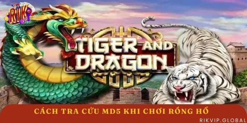 Hình thức tra cứu MD5 khi chơi Rồng Hổ 